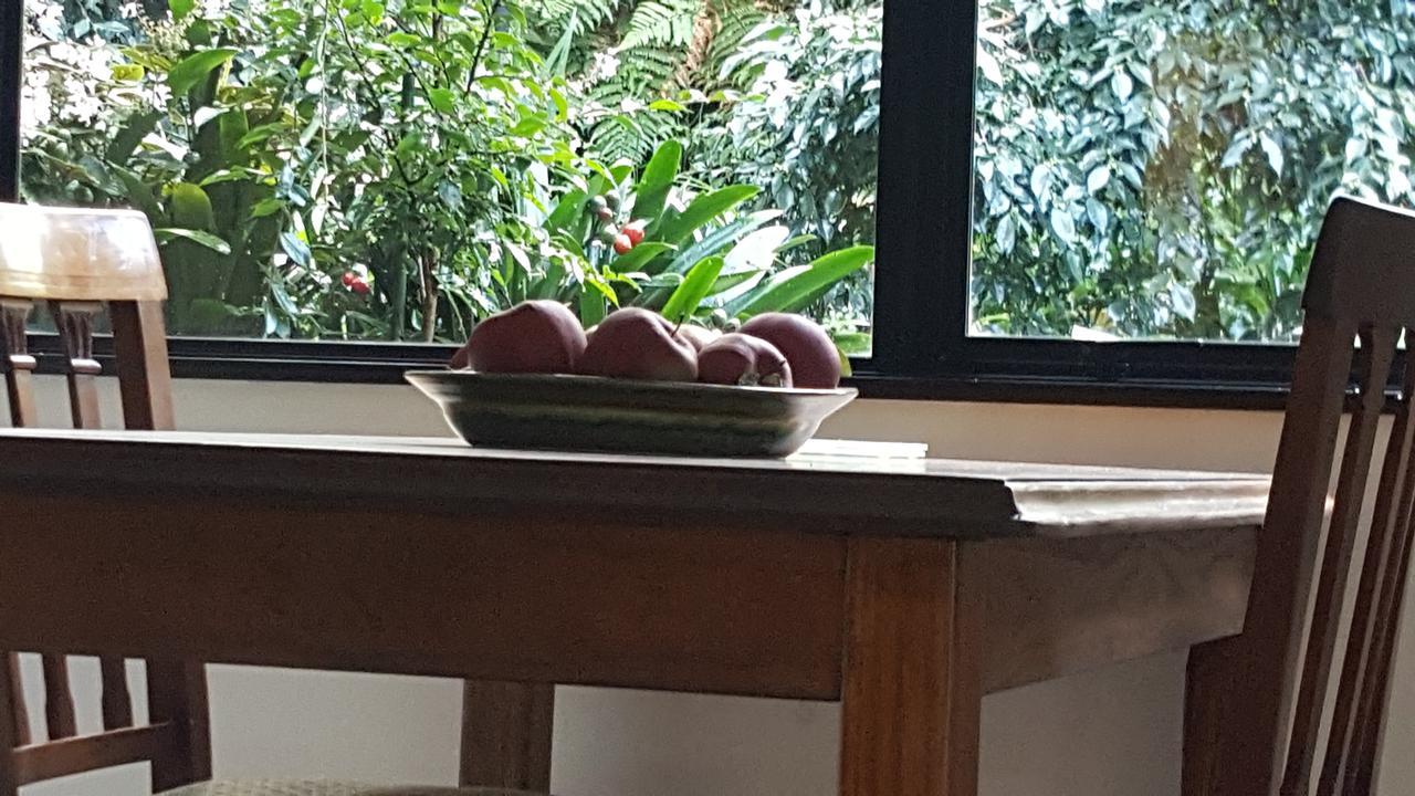 Sequoia Steps Bed & Breakfast New Plymouth Ngoại thất bức ảnh